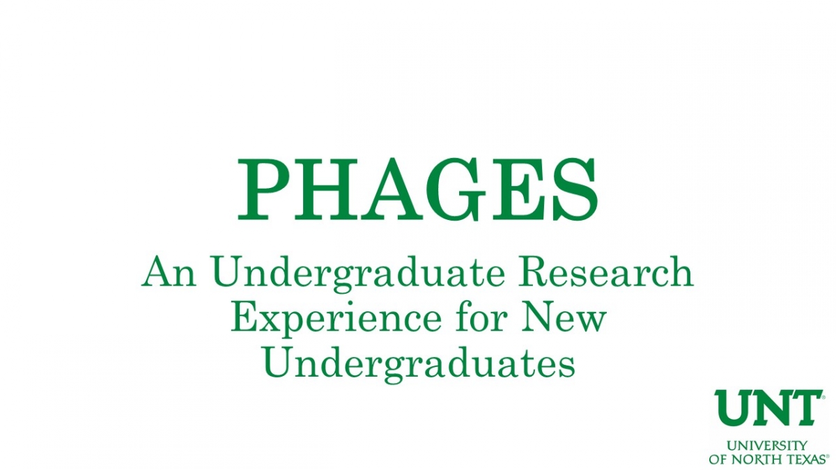 PHAGES Program Introductory Video Link Image