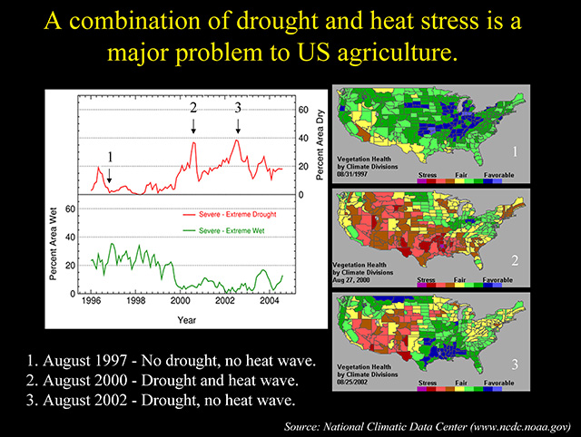 Drought an heat to US agriculture