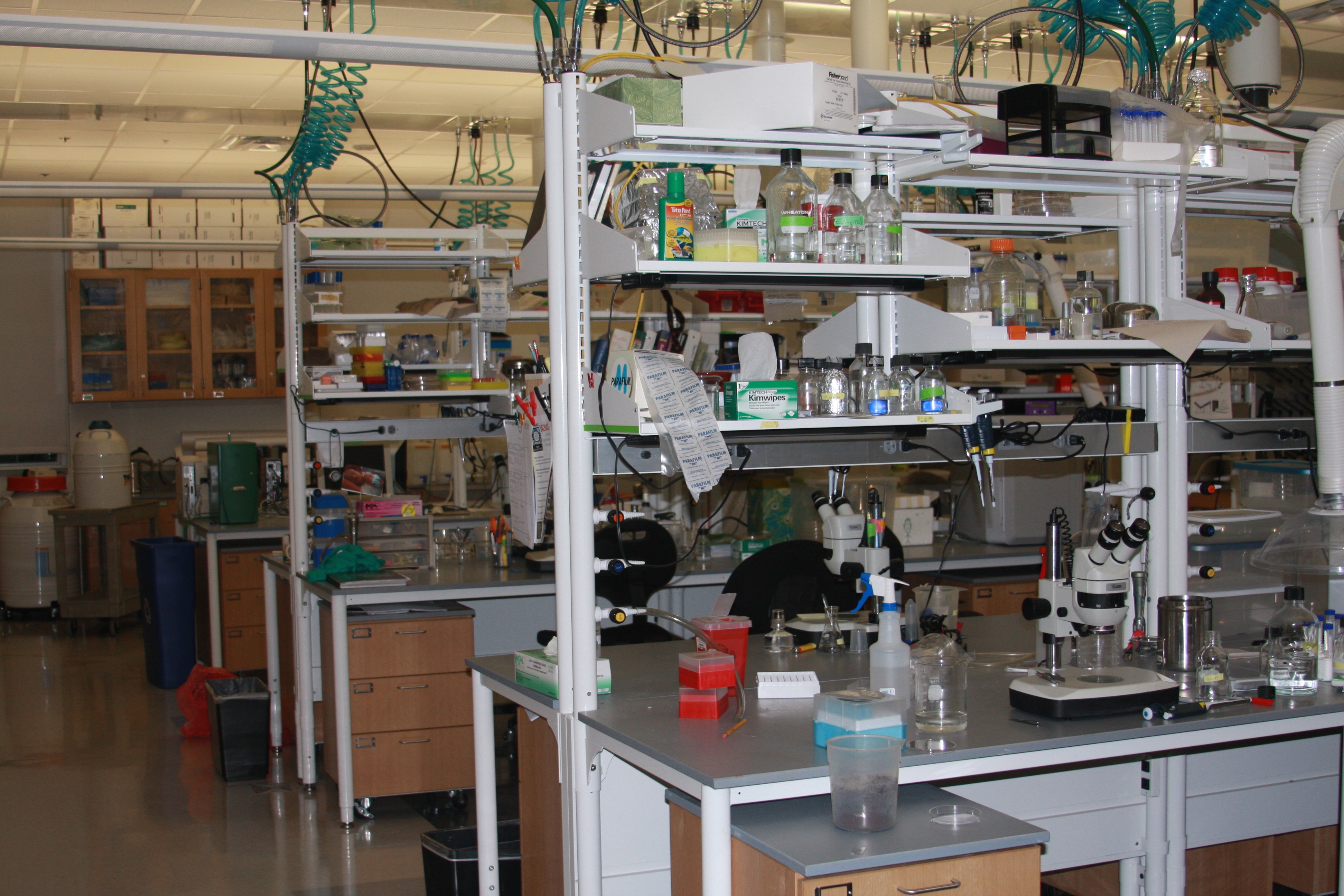 Biological Sciences Lab