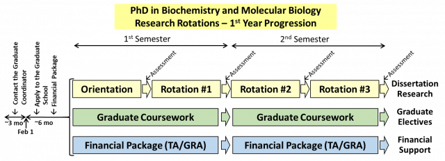 PhD in Biochemistry and Molecular Biology (BMB) with Laboratory Rotations