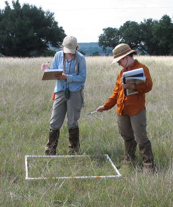 Two students collect floral data in a field