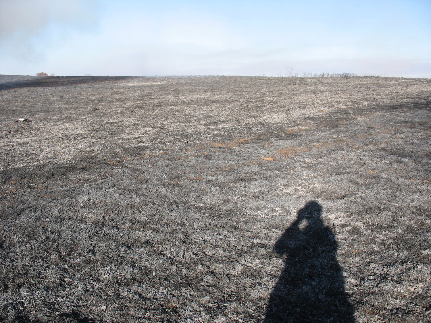 Field that has just been burned, with no vegetation left and blackened stubble