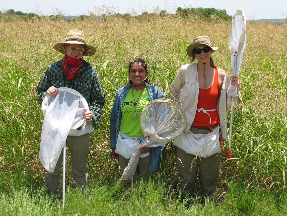 Three research assistants with insect nets